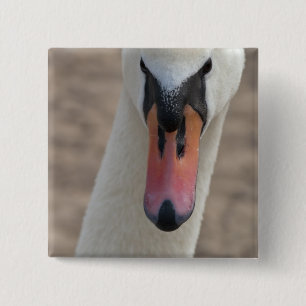 Swan 15 Cm Square Badge