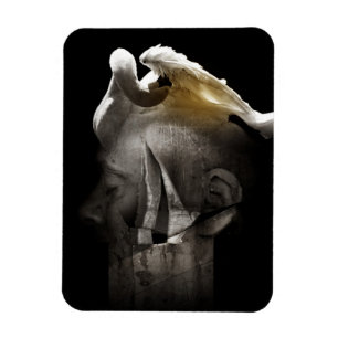 Swan 2013 magnet