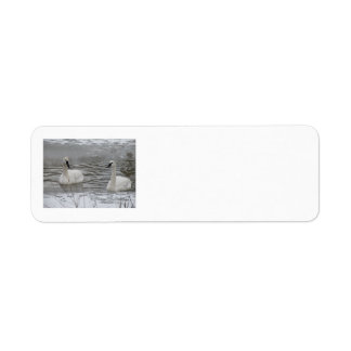 Swan Address Labels
