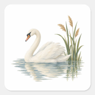 Swan Among Pond Reeds Square Sticker