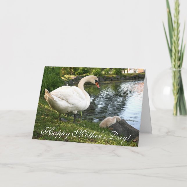 Swan and baby cygnet Mother's Day Greeting Card (Front)