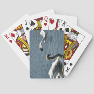 Swan and Bird on the Lake  Playing Cards