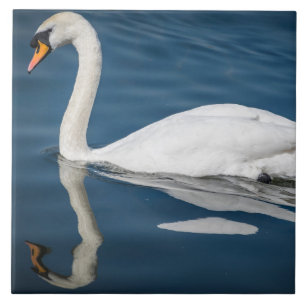 Swan and blue water ceramic tile
