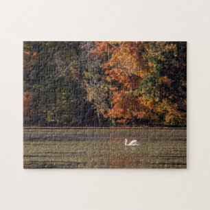Swan and Fall Foliage Jigsaw Puzzle