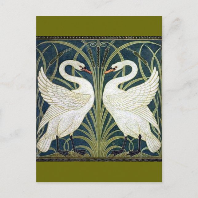 Swan and Rush and Iris wallpaper Postcard (Front)