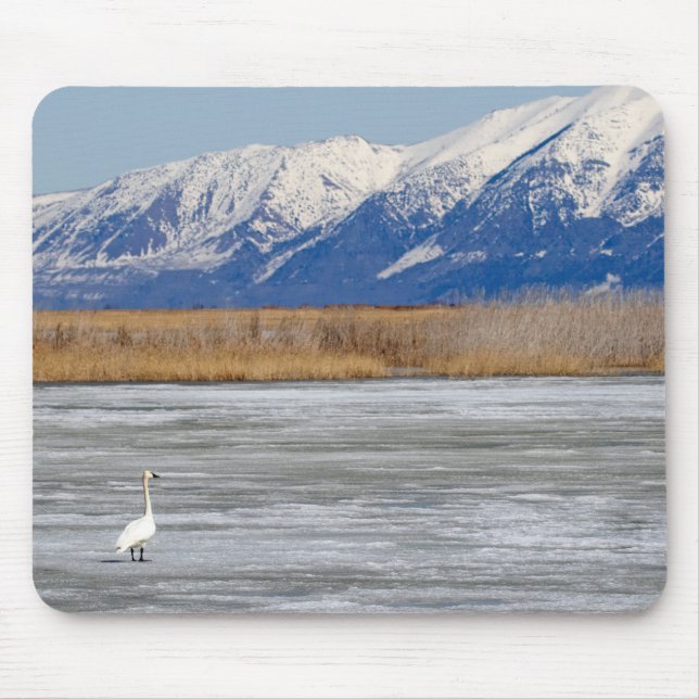 Swan and Snow Mouse Mat (Front)
