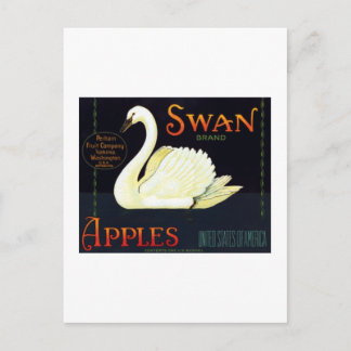 Swan Apples Postcard