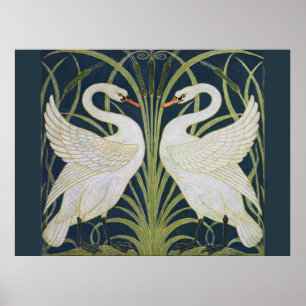 Swan Art Nouveau Two Swans Poster