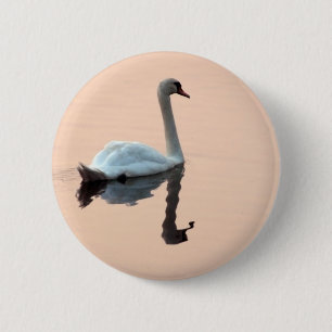 Swan at Sunset Button