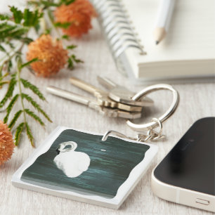 Swan at the Pond Key Ring