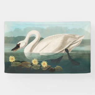 swan audubon bird white water swans banner