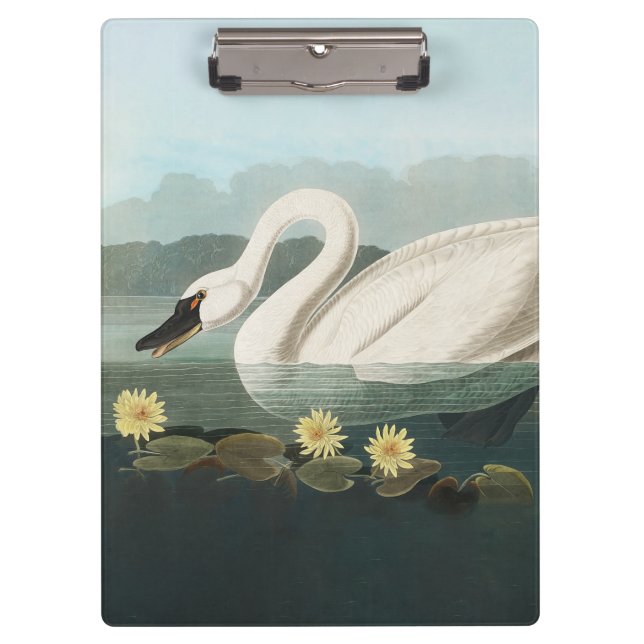 swan audubon bird white water swans clipboard (Front)