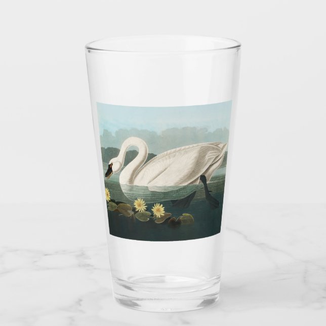 swan audubon bird white water swans glass (Front)