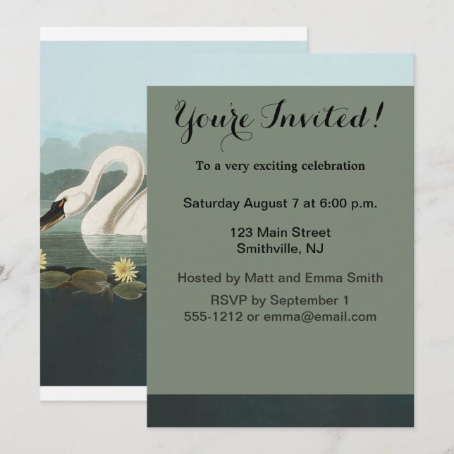 swan audubon bird white water swans invitation (Front/Back)