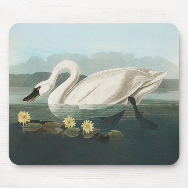 swan audubon bird white water swans mouse mat (Front)