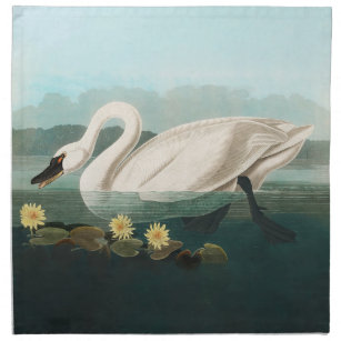 swan audubon bird white water swans napkin