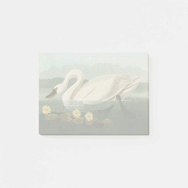 swan audubon bird white water swans post-it notes (Front)