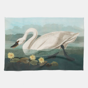 swan audubon bird white water swans tea towel