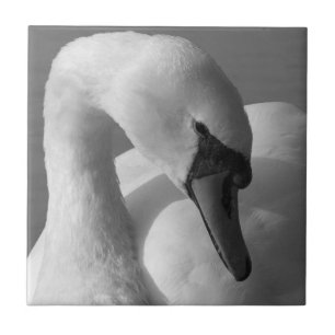 Swan (B&W) Tile