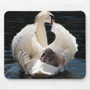 swan baby swan white mouse mat