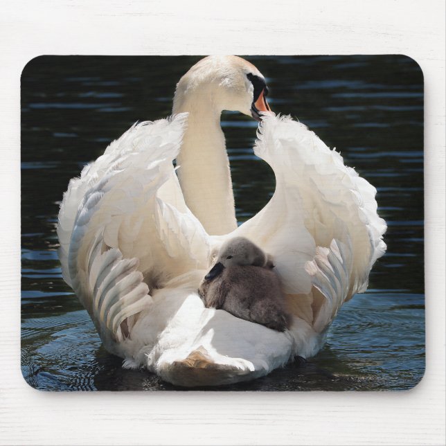 swan baby swan white mouse mat (Front)