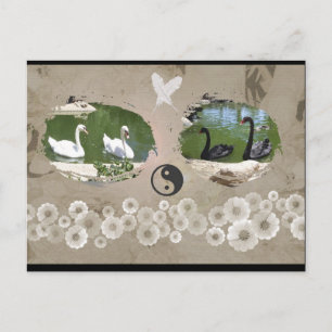 Swan Balance Postcard