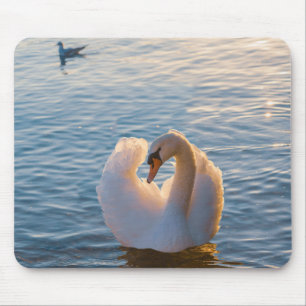 swan, bird, animal mouse mat