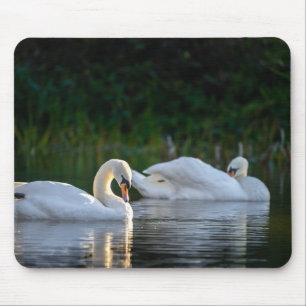 swan, bird, lake mouse mat