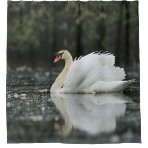 Swan Birds Water Blue White Peaceful Wildlife  Shower Curtain