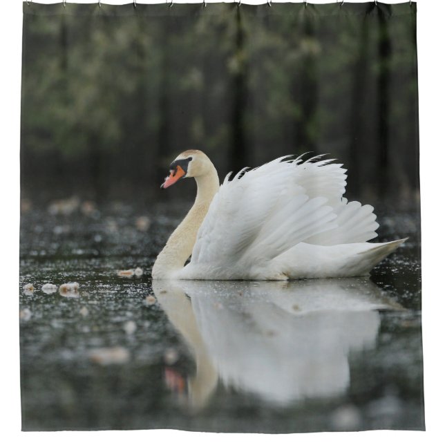 Swan Birds Water Blue White Peaceful Wildlife  Shower Curtain (Front)