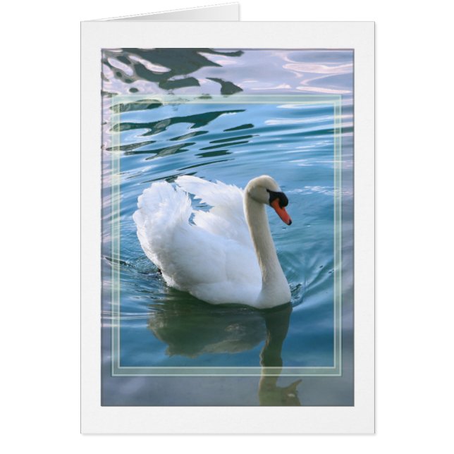 Swan Blank Card (Front)