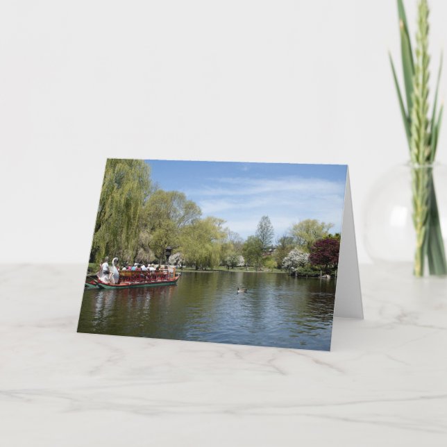 Swan Boat on Water, Boston MA Card (Front)