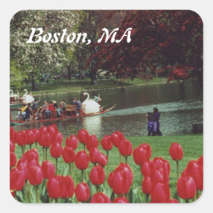 Swan Boats and Red Tulips Square Sticker