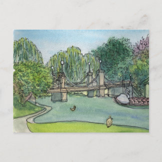 Swan Boats Boston Public Gardens Postcard