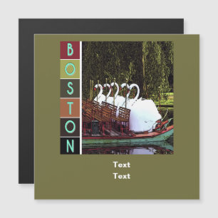 Swan Boats in Summer - Boston 