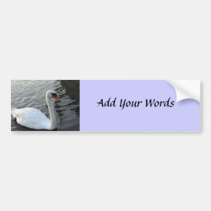 Swan Bumper Sticker