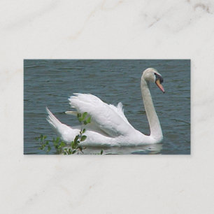 Swan Business Cards