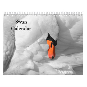 Swan Calendar 2026