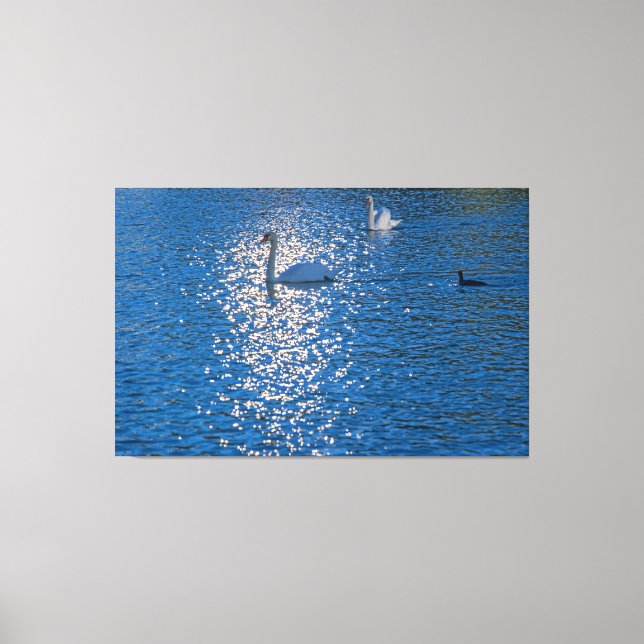 Swan Canvas Print (Front)
