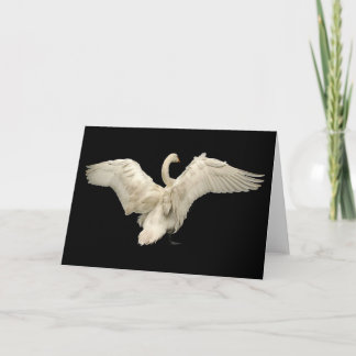 Swan Card