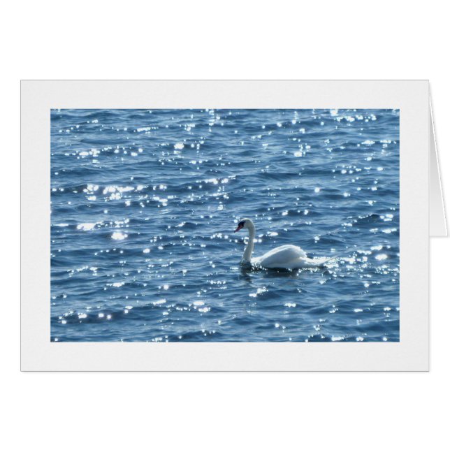 Swan Cardiff Bay, Cardiff, Wales (Front Horizontal)