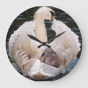 Swan Clock