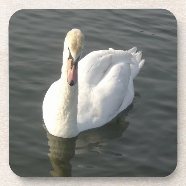Swan Coaster (Front)