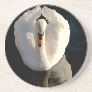 Swan Coaster