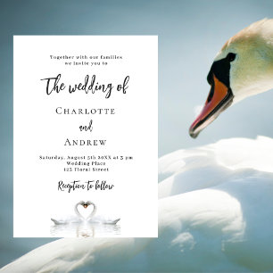 Swan couple white wedding invitation postcard