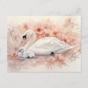 Swan Cygnet and Blush Pink Flowers Postcard