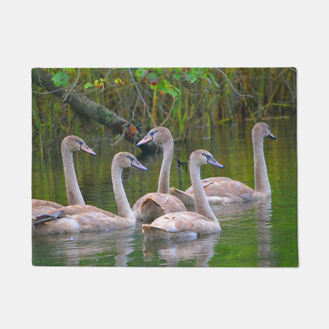 Swan Door Mat (Front)
