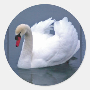 SWAN ELEGANCE CLASSIC ROUND STICKER