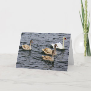 Swan Family Card