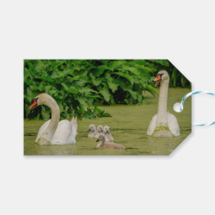 Swan Family Gift Tags